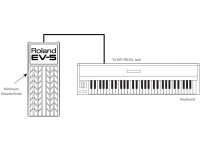 <b>Roland EV-5 Pedal Expressão universal para teclados e guitarra</b> <b>Roland EV-5 Pedal Expressão universal para teclados e guitarra</b>